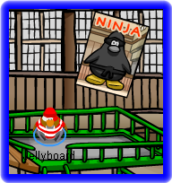 ninja-poster